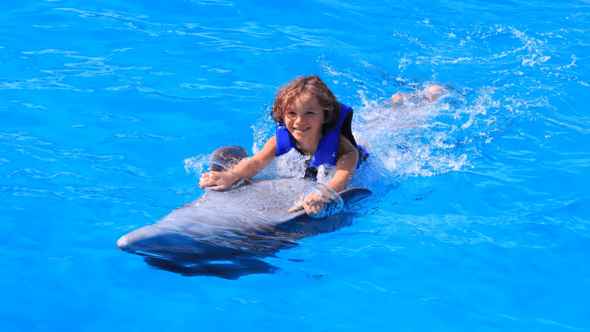 Dolphin Swim Experience in Cabo