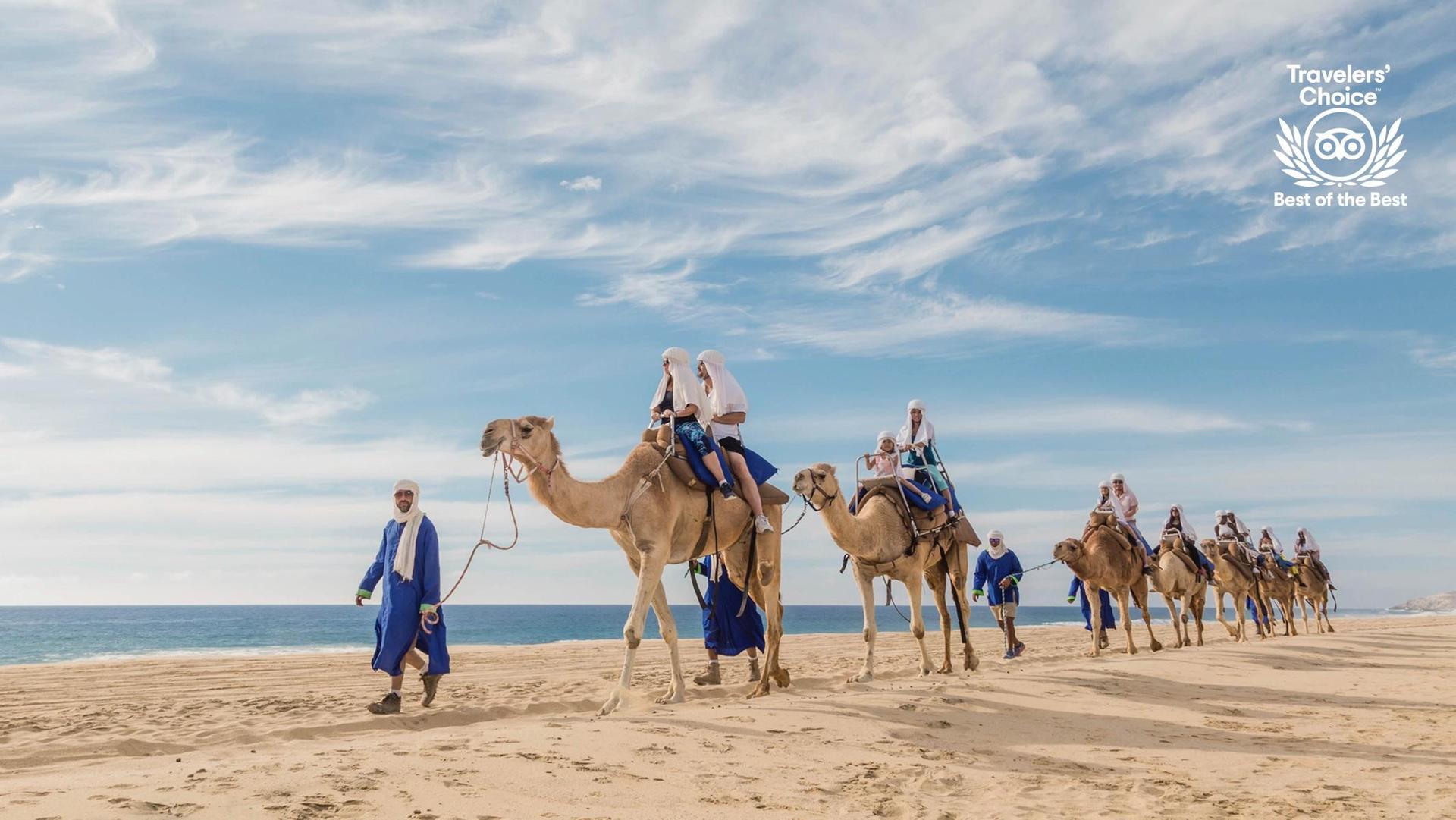 Outback and Camel Ride Safari