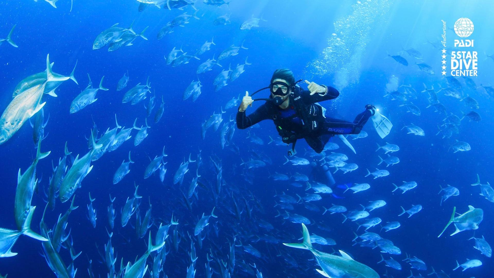 Diving Tour at Land’s End by The Arch