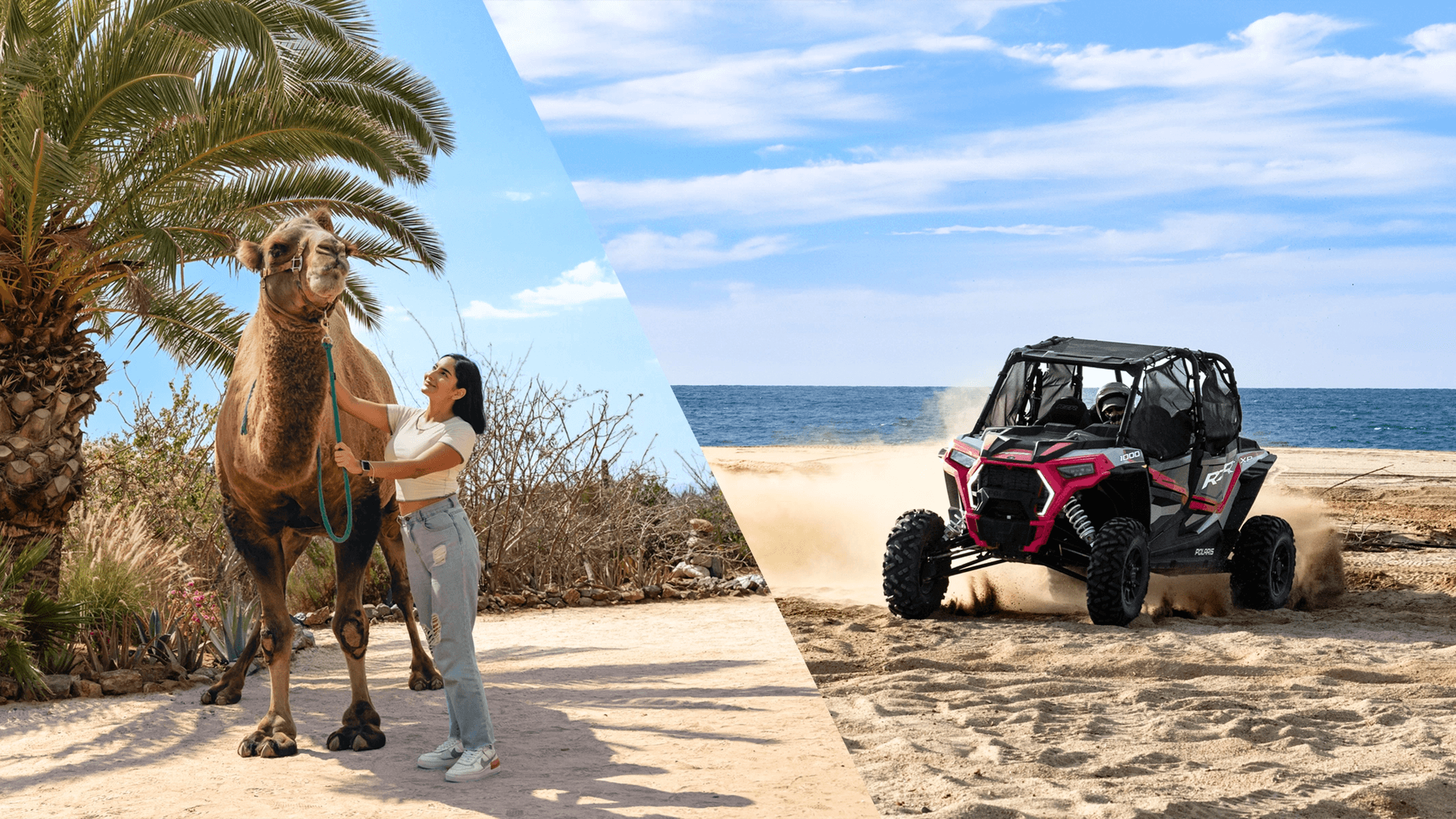 UTV Off Road + Camel Tour