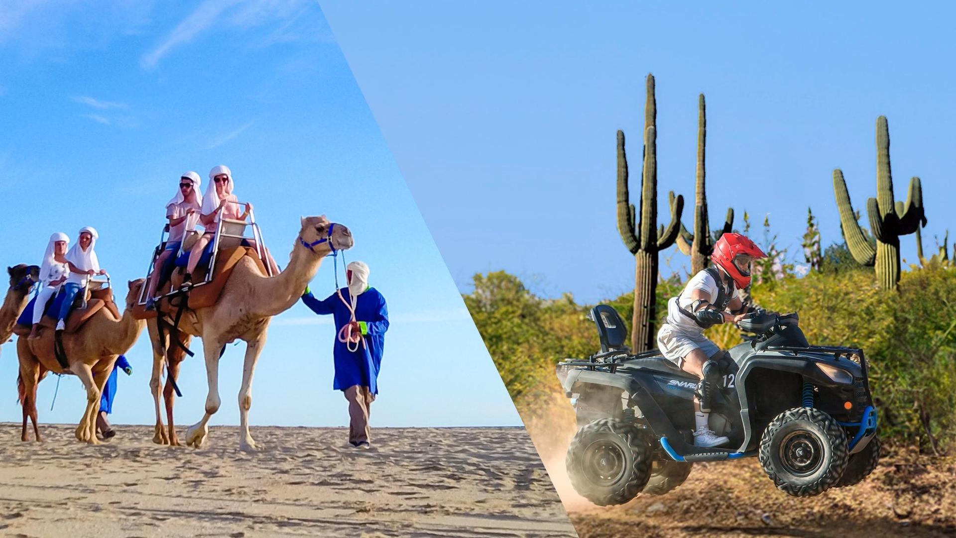 Camels + ATV + Lunch